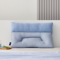 3도씨 익스트림쿨 뒷목이 시원한 경추베개 38x55, 1개, 사진참조