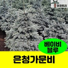 94b1fd6ed0e7de84c24813cb1d9b545b9fbc484fd972347a94065dcb4b48.jpg