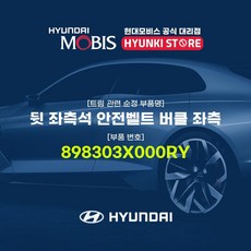 현대모비스 뒷 좌석 안전벨트 버클 좌측 (898303X000RY)