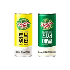 250ml x 20캔 캐나다드라이 하이볼 진저에일10+토닉워터10