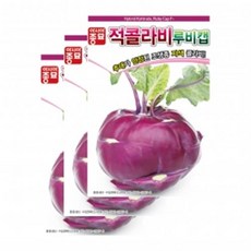 아시아종묘 채소씨앗 - 적콜라비 씨앗 루비캡(100립x3) 전문농가용, 3개