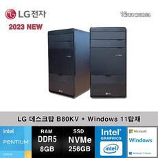 LG전자 데스크탑 12세대 펜티엄 컴퓨터 B80KV-AR2PS2+WIN11 (Pen-G7400/8GB/SSD256GB/UHD710/WIN11)