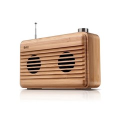 [멸치쇼핑]브리츠인터내셔널 BZ-W150, 옵션없음, 옵션없음