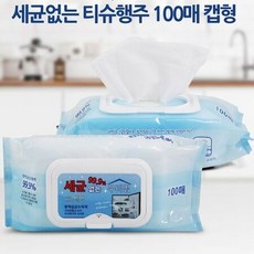 우리집요정물티슈워머