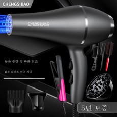 다이슨스트레이트너블루