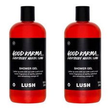 러쉬 샤워젤 굿카르마 에브리바디 니즈 썸 550g 2팩 LUSH, 2개 - 러쉬카르마