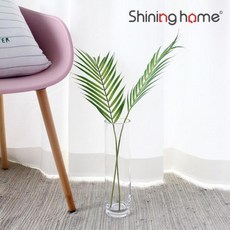 이누스프로베이직