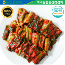 여수농협 여수돌산 갓김치 2kg 3kg 전라도식 100% 국내산 김치 당일생산 HACCP 인증 한국김치상 30년전통 종가집 돌산갓김치, 1개