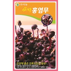홍염