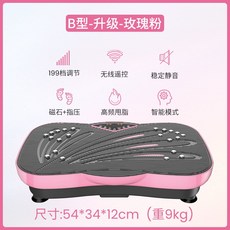 운동기구덜덜이 쉐이크보드 진동운동기 음파 발란스, AH