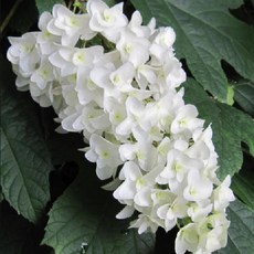f093f7dc0205954e43cb418794153b80f98d6b4369f81ffe5c0c60e735a1.jpg