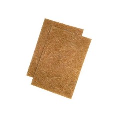 신생아해면이태리