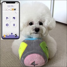 HAMIL 반려동물 블루투스 스마트 점핑볼 자동장난감 혼합색상 지름40 x 높이1... 1개