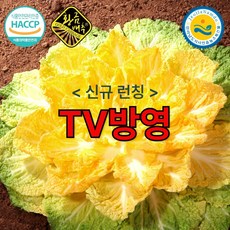 <TV방영> 해남 정품 황금배추 20kg 천일염 김장배추 절인 황금 배추 절임배추 황금절임배추 HACCP’></p>
<p style=