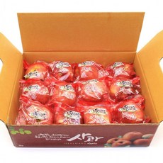 추석선물세트 세척 당도선별 빨간사과 3kg 소과 16 21과, 1개, 상세페이지 참조, 상세페이지 참조, 상세페이지 참조