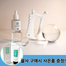 속살괄사