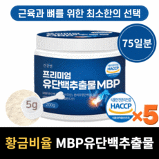 mbp메타정
