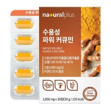 내츄럴플러스 수용성 파워 커큐민, 1정, 1개