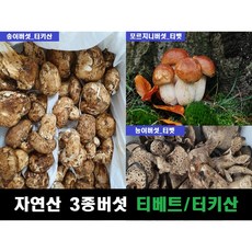 송이가격 TOP01