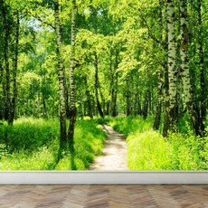 뮤럴벽지자작나무