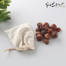허브티나 천연세제 솝베리 소프넛 450g, 1개