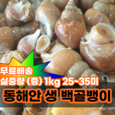 백고동 생골뱅이 백골뱅이 동해안골뱅이 산지직송 중 1kg 25-35미 대 1kg 15-25미, 활 백골뱅이 중 1kg, 1개