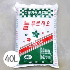 EQI51416940L 청농 분갈이 늘푸르지오 흙 신박한