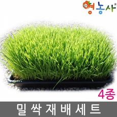 5f94b100b201c2ed2ff9119abed90436d94f2ec50228696e6ea32ee265cb.png