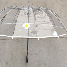 데이지투명우산