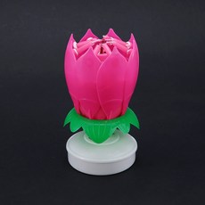 결혼식뮤지컬