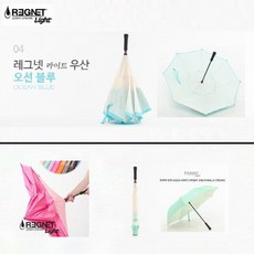 레그넷라이트