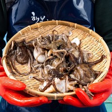 대한민국농수산쭈꾸미