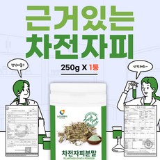 헬씨마미