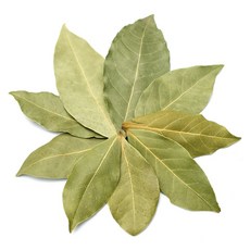 자연초 월계수잎, 250g, 1개