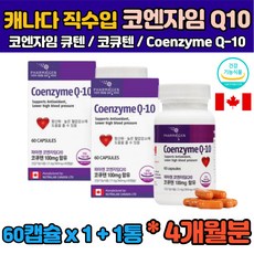 에이플러스코큐텐