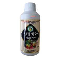스테비아키우기