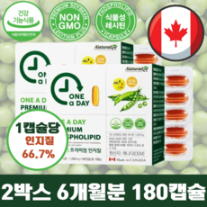 네추럴라이즈 원어데이 프리미엄 인지질 ( 1200mg x 90캡슐 2박스 6개월분 ) 고함량 인지질 NON-GMO 대두사용, 90정 - 개월분