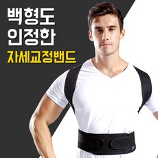 네스럽 바른자세교정밴드 어깨 허리 등, 일반형