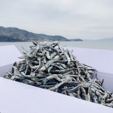 국물멸치오사리