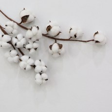 d0fda6e065e309aa5118d1485831865592f035f5b4d3e9bec9231fcb25d9.jpg