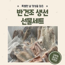 흑산도 반건조 생선 선물세트 제수용 선물용 가정용 특별한날 명절선물세트, C 세트, 1개