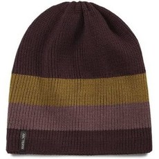 아크테릭스비니