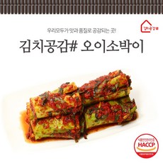 김치공감# (당일생산) 바로담근 오이소박이 2kg 3kg 5kg, 1개