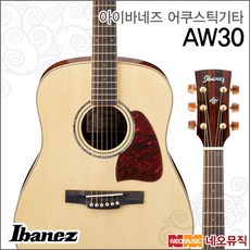 아이바네즈 AW30