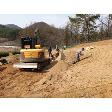조상님 묘지 봉분 관리(사초 파묘 화장 이장 벌초 석축)