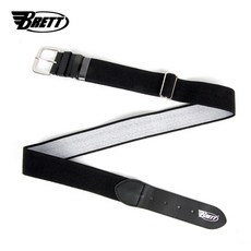 와일드브릭스벨트