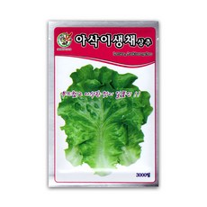 모칸도 제일 아삭이생채상추 씨앗 3000립