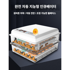 자동부화기 육추기 병아리 대형 아리부화기 온도조절기 오리알 조류 산업용 전란틀 만들기, 176개의 완전 자동 이중 전원 공급 장치, 1개