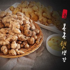 완주 봉동생강 흙 세척 토종 햇 생강 1kg 국내산, (개량종)흙생강 1kg
