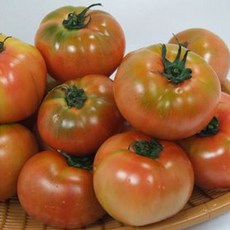 행복한 농부 정품 찰토마토 /5kg 토마토 드시고 건강하세요, 5kg(중과), 1개